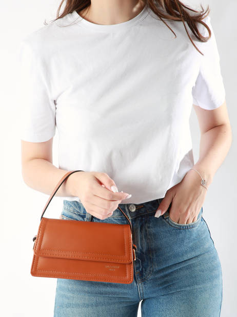 Cross Body Tas City Miniprix Bruin city C0167 ander zicht 1